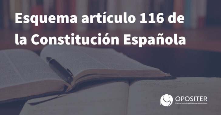 Esquema artículo 116 de la Constitutción Española