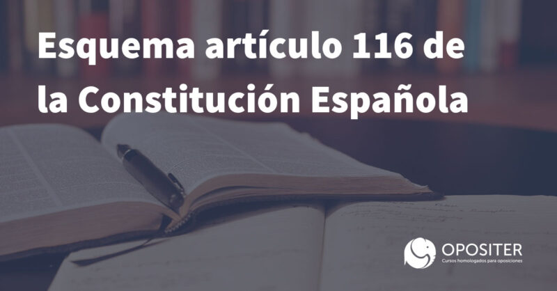 Esquema artículo 116 de la Constitutción Española