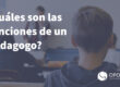 Cuales son las funciones de un pedagogo