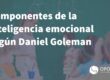 inteligencia emocional segun Daniel Goleman